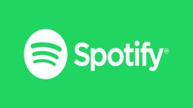 spotify indir