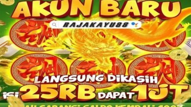 RAJAKAYU88-is-your-trusted-700x428